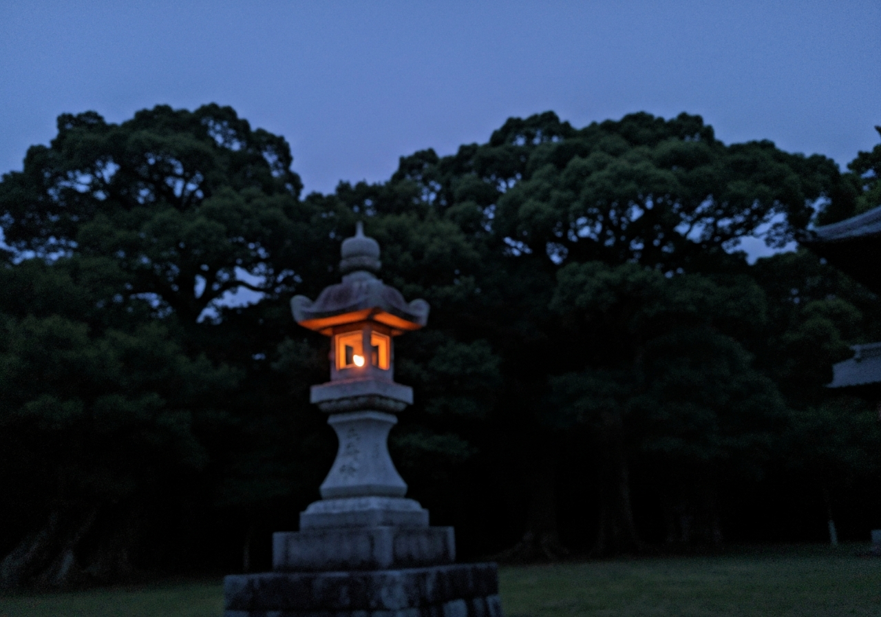 A slightly blurry, handheld photo taken with a smartphone at dawn. The image shows a stone lantern dimly lit by its own flame, with the dark, dense foliage of ancient trees just beginning to reveal themselves in the background. The sky is a deep, pre-dawn blue. The overall mood is quiet and atmospheric, with a slight graininess to mimic natural light