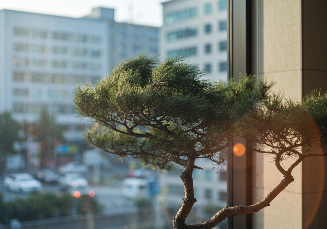 A smartphone photo looking through a hotel lobby window, focusing on a pine tree's branches swaying gently in the breeze against a blurred background of the city outside. The image has a shallow depth of field, emphasizing the leaves and branches, with a slight lens flare from the sunlight